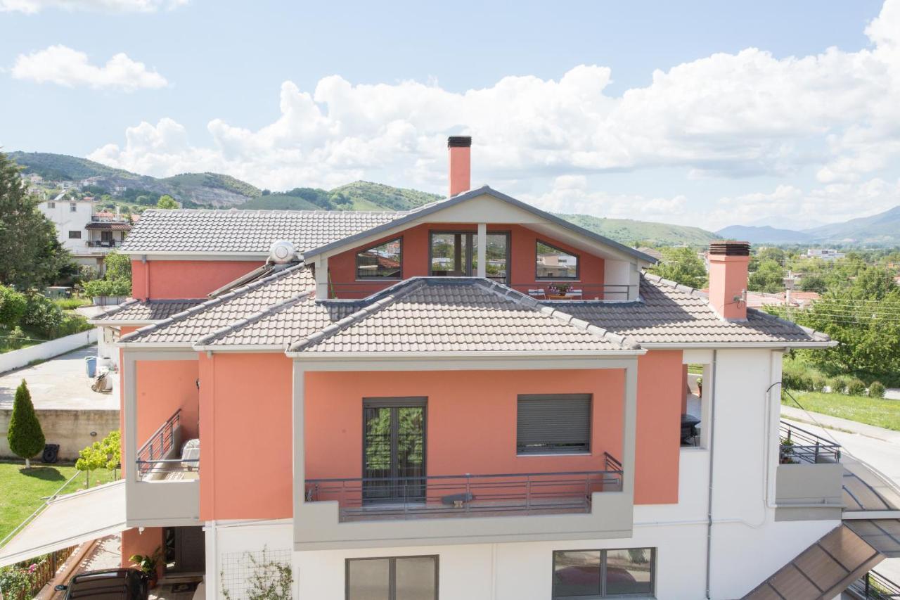 New Loft Polixeni Apartamento Ioannina Exterior foto